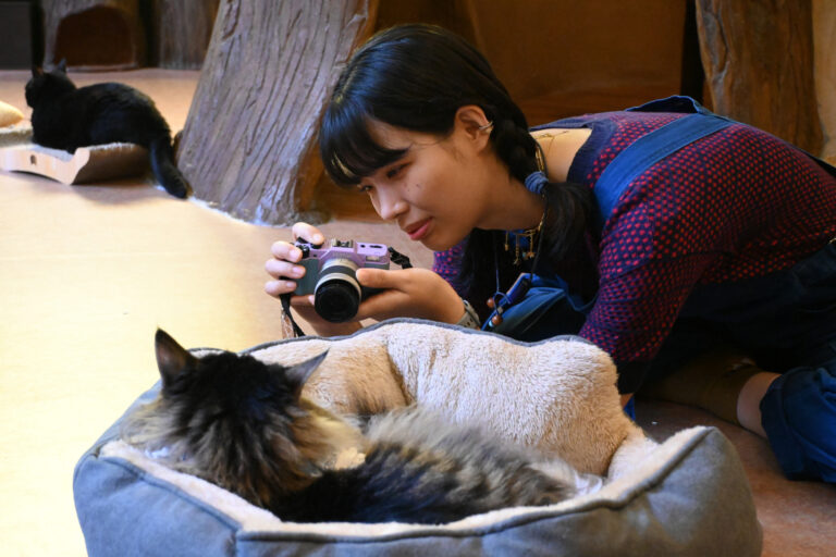 クレア(吉田クレア・Clair) lifescape photo playing with cat by Yuji Ikeda